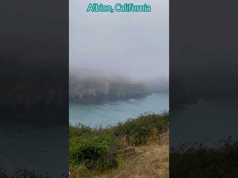 Foggy Albion Afternoon.   #californiacoast #mendocinocoast