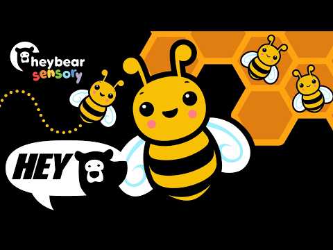 Hey Bear Sensory - A Very Busy Bee - Say Hello to Bizzy! - Animation with music
