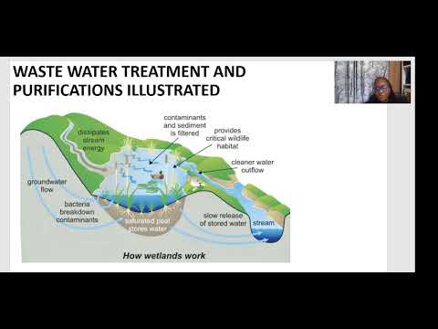 Lesson 9   Waste Water Treatment and Purification Model