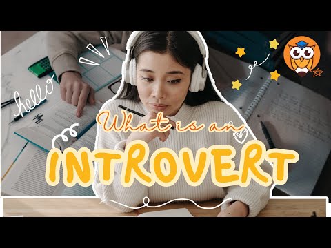 What is an introvert ? - What is that?