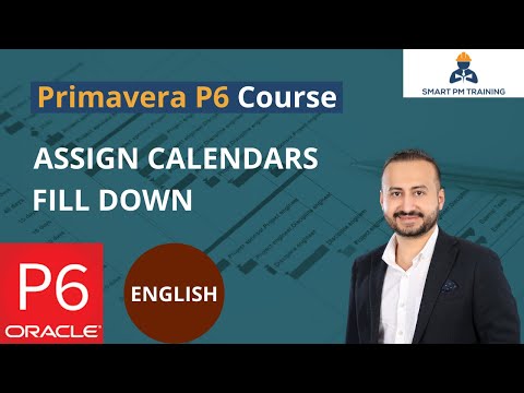 11.  Assign Calendars and Fill Down in Primavera P6