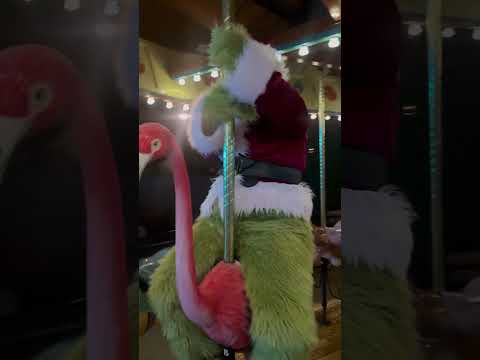 Look to the Akron zoo #grinchgoesviral #grinchtiktok #defyinggravity #holdingspace