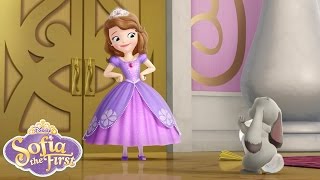 Sofia the First Theme Song 👑🎶 | @disneyjr