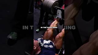 HIGH & WIDE LEG PRESS | GLUTE-HAMSTRING WORKOUT