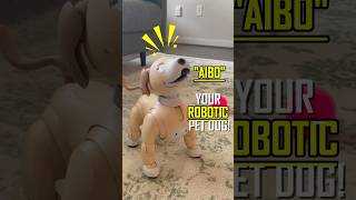 This Robot Dog Might Out-Pet Your Real One! #Chicjest #ScienceFacts #TechExplained #Shorts