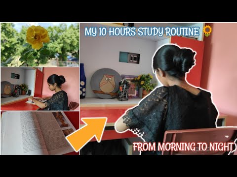 My 14 hours study routine from morning to night✨🌿