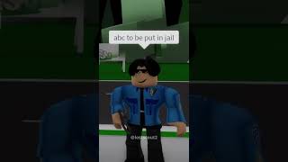 the roblox roleplay experience..