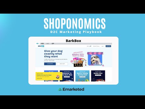 DTC Marketing & Brand Audit: BarkBox