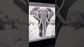 What do you think ? 🐘 #art #graphicdesign #viral #logo #logodesign #adobe #logodesignlove #design