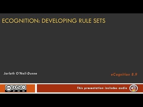 eCognition: Developing Rule Sets
