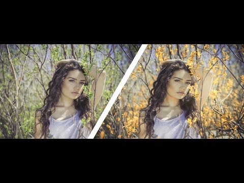 Photoshop: Autumn Color Effect | Autumn Effect Action In Photoshop | Easy Photoshop Tutorial.