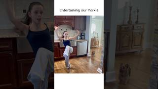 He loves to watch us dance 💃 #viral #funny #aidance #aichallenge