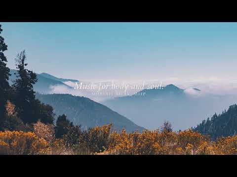 Meditate, Relax, Sleep... Live Stream
