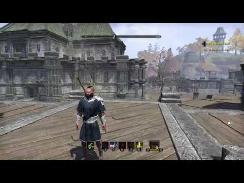 ESO One Tamriel : "The Meta" Stamina Build