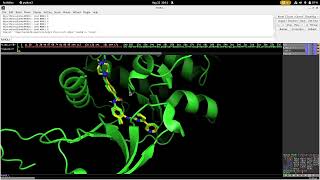 Visualizing Results: Autodock Vina Basic Molecular Docking Tutorial