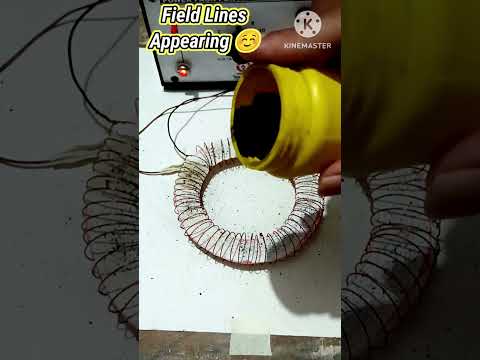 Magnetic Field Lines Of TOROID with IRON POWDER| Most IMP