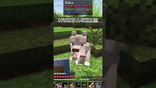#minecraft #cozyminecraft #gaming #gamingvideos #gamingclips #minecraftcommunity #shortsfeed #mcyt