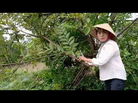 Weekend Work With Me. Vlog 6