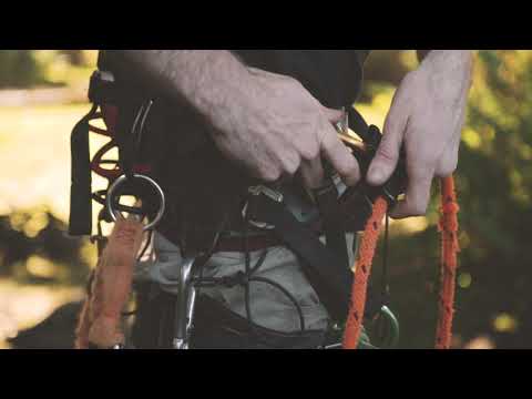 Cascade Tree Works Tree Repair