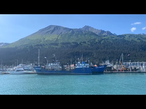 Seward Alaska Boat Harbor | Timelapse
