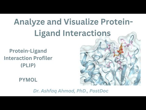 Analysis and Visualization of Protein-Ligand Interactions with PYMOL and PLIP