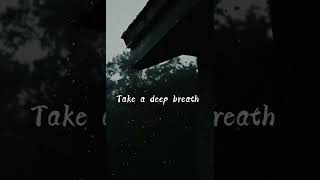 Rest Your Mind 🧘‍♂️                                         #motivation #selfimprovement #mindreset