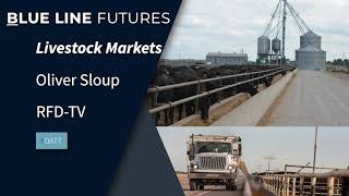 Lean Hog spread trading continues | Oliver Sloup breaks down the action on RFD-TV