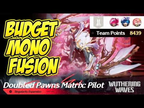 BUDGET MONO FUSION: 8439 Points | Doubled Pawns Matrix (Patch 3.0)  | Wuthering Waves