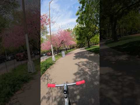 POV | Fixed Gear