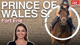 Prince of Wales Stakes | DRF Tuesday ROTD | September 9, 2025
