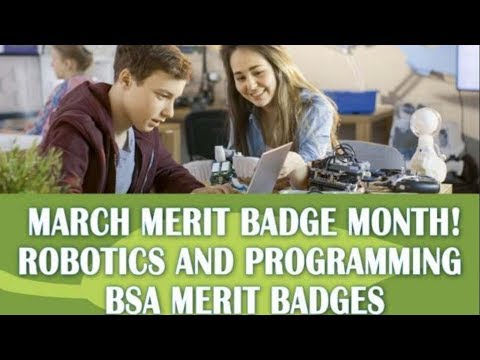 Merit Badge March 2019