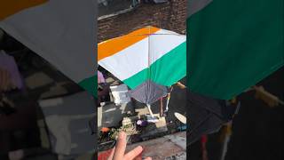 🪁😱kite looting 🪁😱#kiteflying #viralshort #youtubeshorts #15august #myfirstvlog  #minivlog
