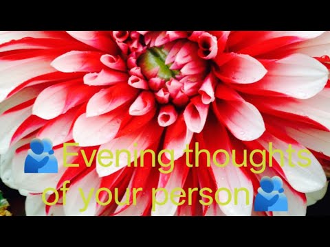 Evening thoughts of your person#healing#tarot#love#energy#spiritual#hus#god#wellness#peace#healthy 