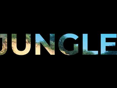 JUNGLE DIARY