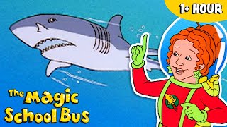 Fish and Aquatic Creatures | Full Episodes | The Magic School Bus