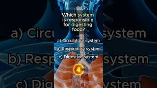 Anatomy Quiz Challenge - #triviaquiz #virtualquiz