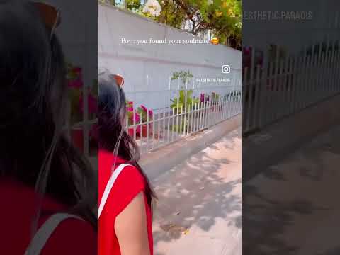 Pondicherry white town | beautiful lane in Pondicherry | flowers