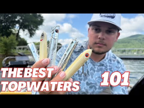 The BEST TOPWATER BAITS For BIG BASS! (How to pick and choose certain baits)