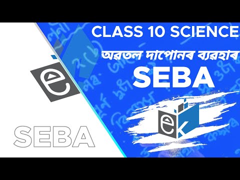 অৱতল দাপোনৰ ব্যৱহাৰ (দশম শ্ৰেনী) // Class 10.... //SEBA Course
