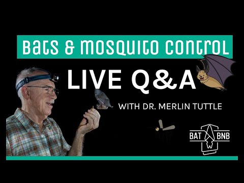Do bats eat mosquitoes? Bat Expert Dr. Merlin Tuttle explains