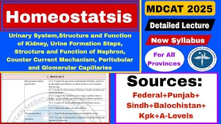 HOMEOSTASIS Lecture || MDCAT 2025 New Syllabus || Made From All Provinces || Homeostasis