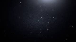 Interactive Robots R.bot