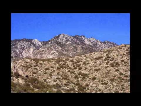 Qualcomm-TW Cactus to Clouds Team Challenge