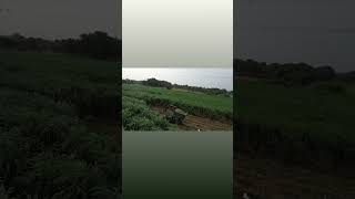 🚜 Machine & Tractor Related#TractorFarming#FarmingMachine#HeavyMachineWork#TractorLovers#MachineVlog