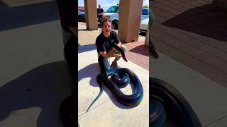 The Shocking Story of a Woman and Her Pet Snake 🐍 #shorts #motivation #story