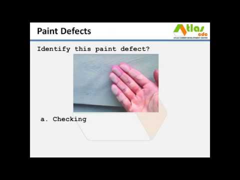 ATLAS-CDC: What are the common Paint Defects?