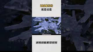 西瓜最怕的就是结霜 #知识 #趣闻 #历史