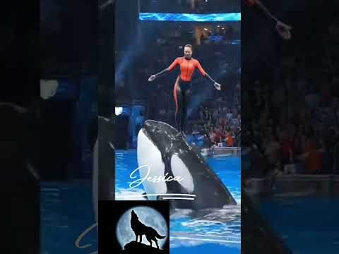 Jessica..#video #vlog #viral #viralvideo