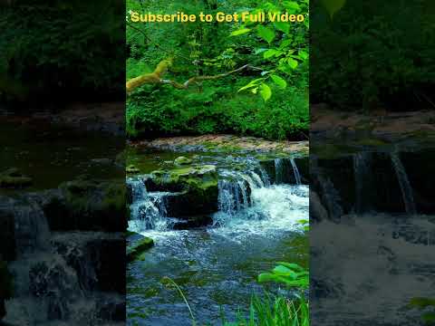 Natural video Feel Relax #relaxing #nature #soothingrelaxationrelaxing #meditation