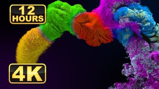 4K Abstract Relaxing Fluid Motion | Calming Music for Meditation & Sleep/Underwater Sand Turbulence